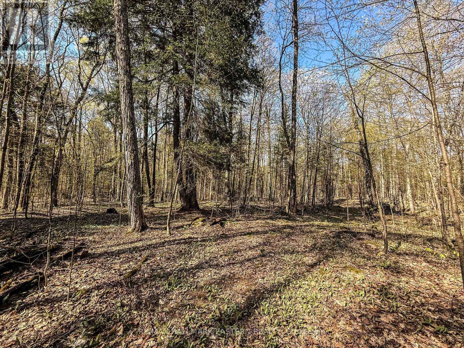 2494 Hadlington Road, Highlands East (Monmouth), Ontario  K0L 3K0 - Photo 2 - X12146596
