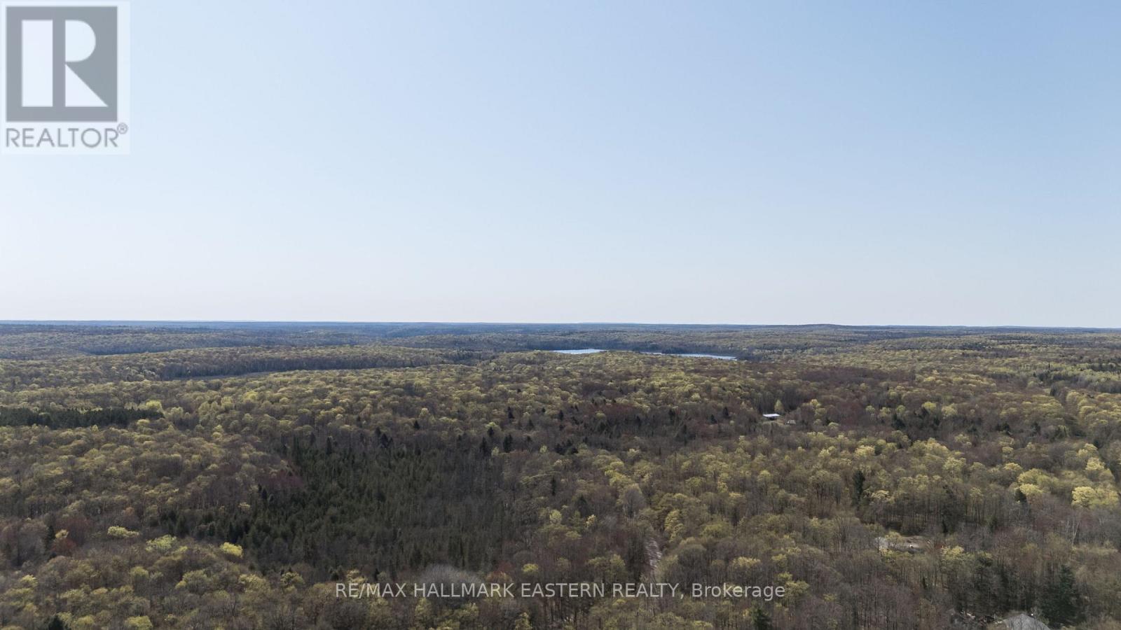 2494 Hadlington Road, Highlands East (Monmouth), Ontario  K0L 3K0 - Photo 22 - X12146596