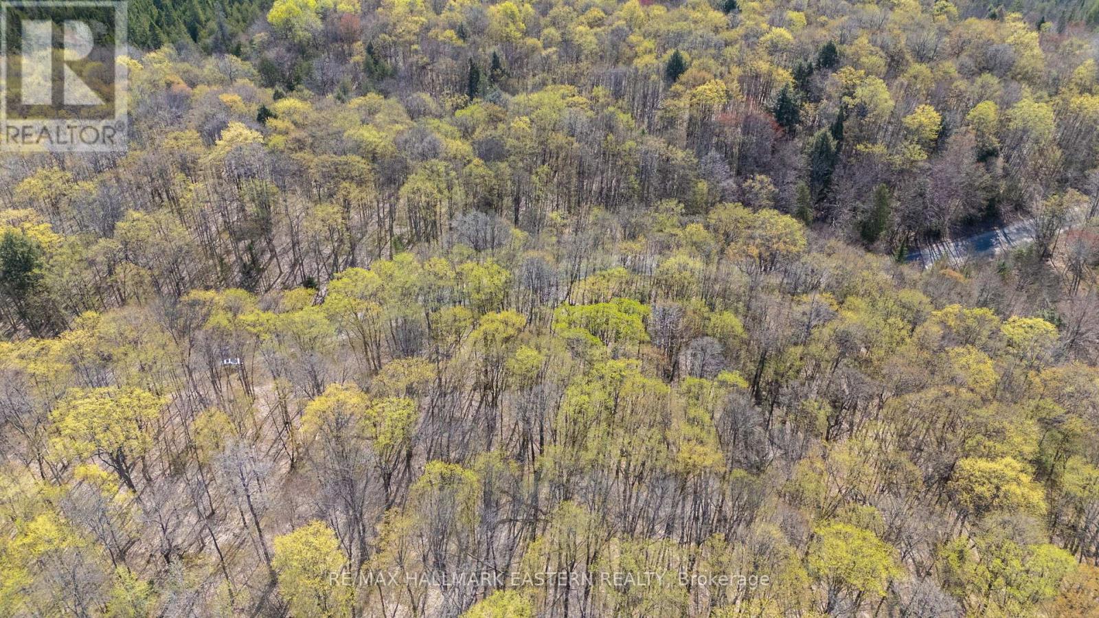 2494 Hadlington Road, Highlands East (Monmouth), Ontario  K0L 3K0 - Photo 25 - X12146596