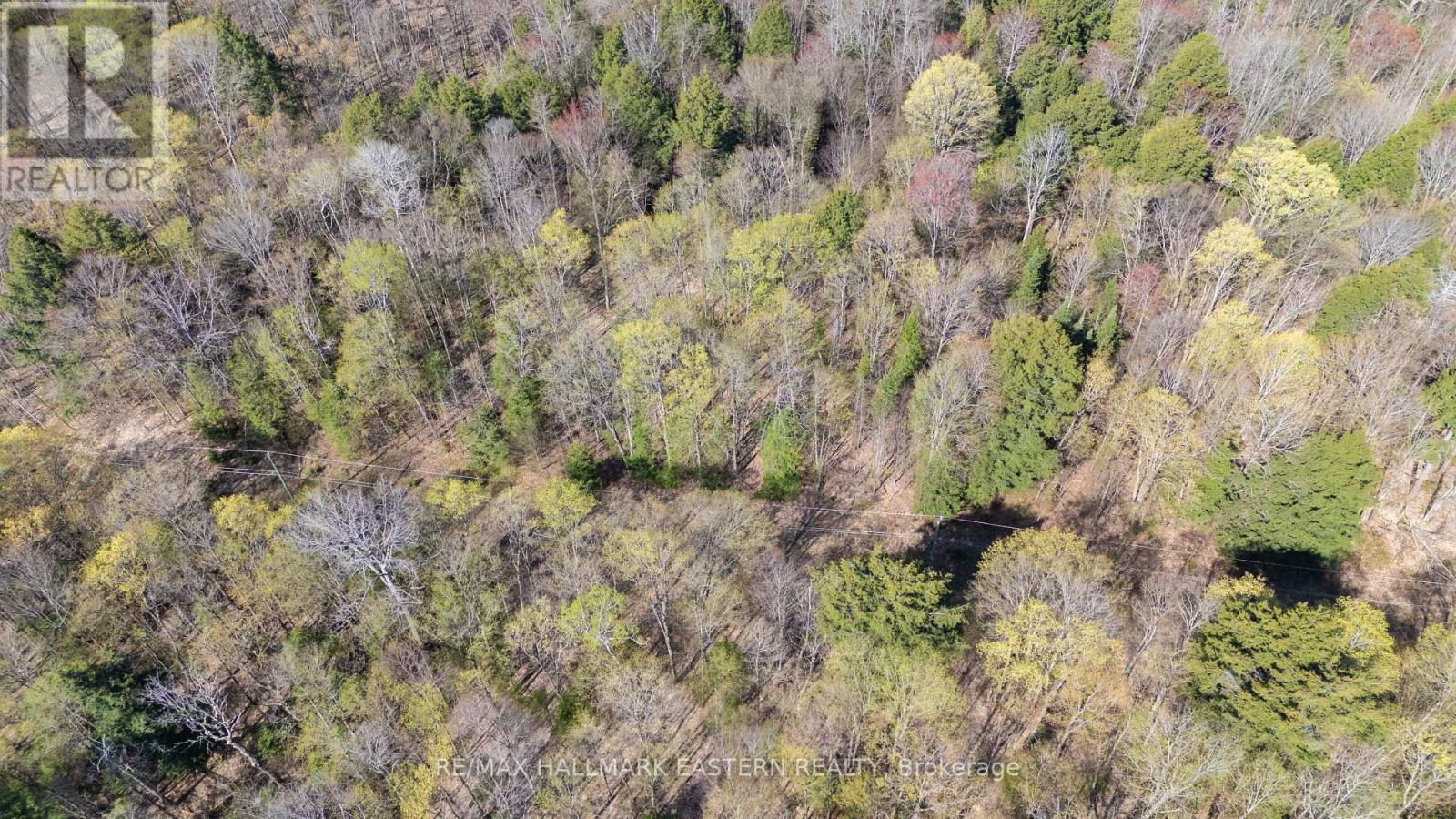 2494 Hadlington Road, Highlands East (Monmouth), Ontario  K0L 3K0 - Photo 26 - X12146596