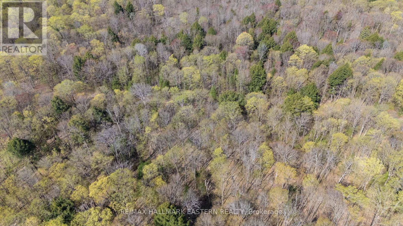 2494 Hadlington Road, Highlands East (Monmouth), Ontario  K0L 3K0 - Photo 4 - X12146596