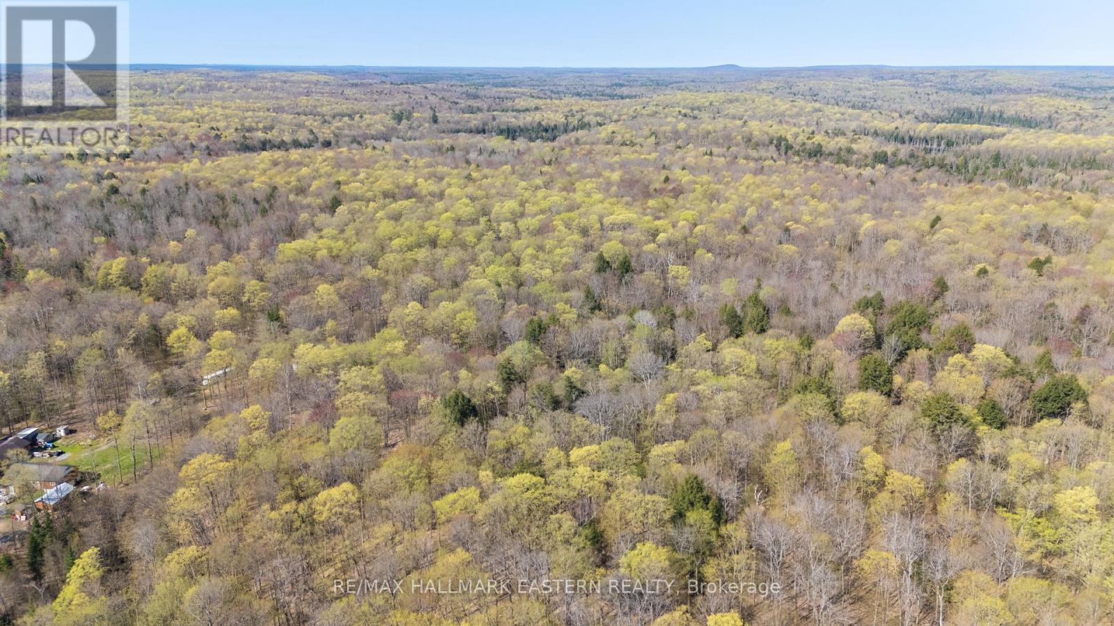 2494 Hadlington Road, Highlands East (Monmouth), Ontario  K0L 3K0 - Photo 6 - X12146596