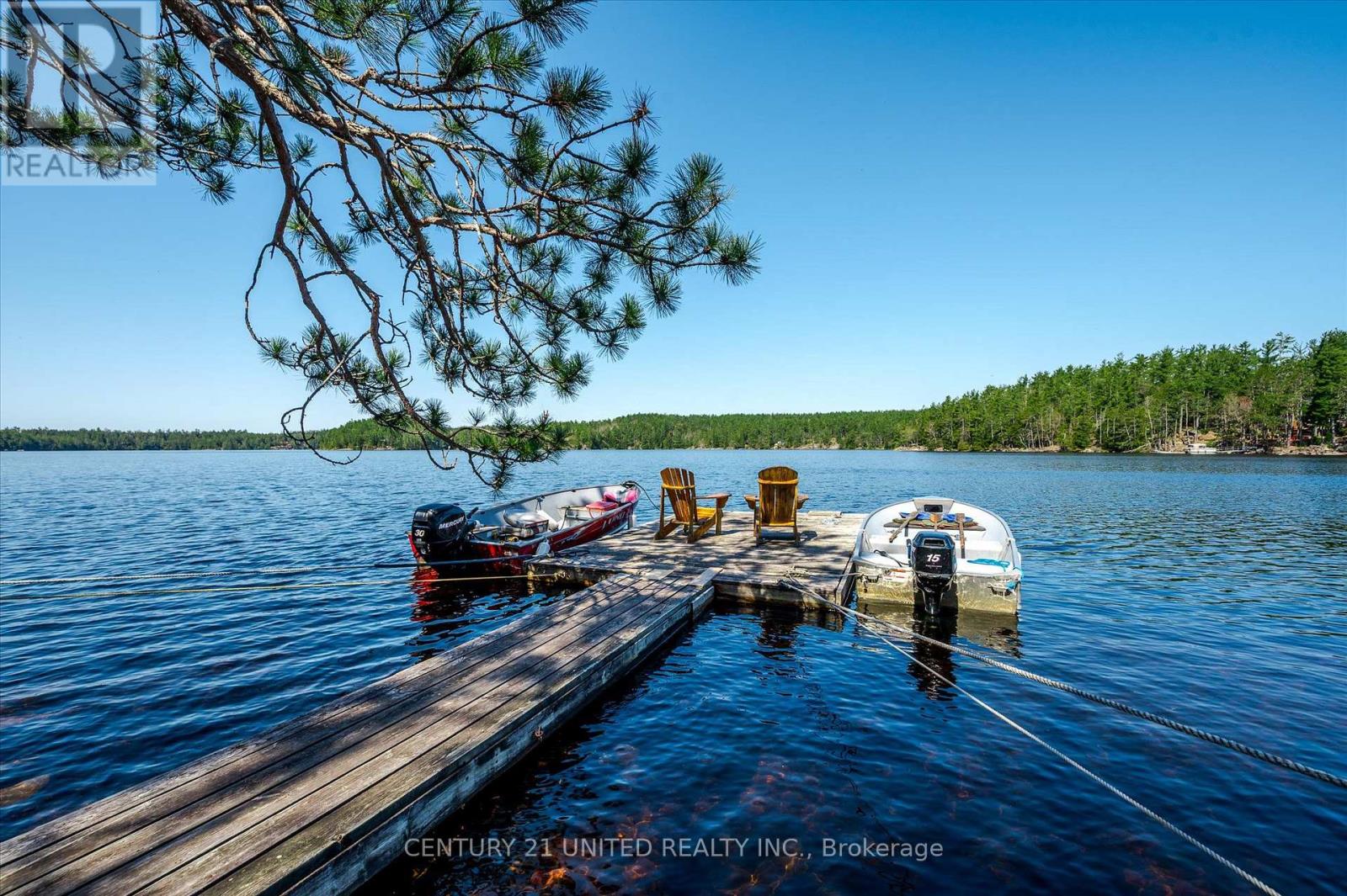 557 Wao Catchacoma Lake, Trent Lakes, Ontario  K0L 1J0 - Photo 14 - X12146684