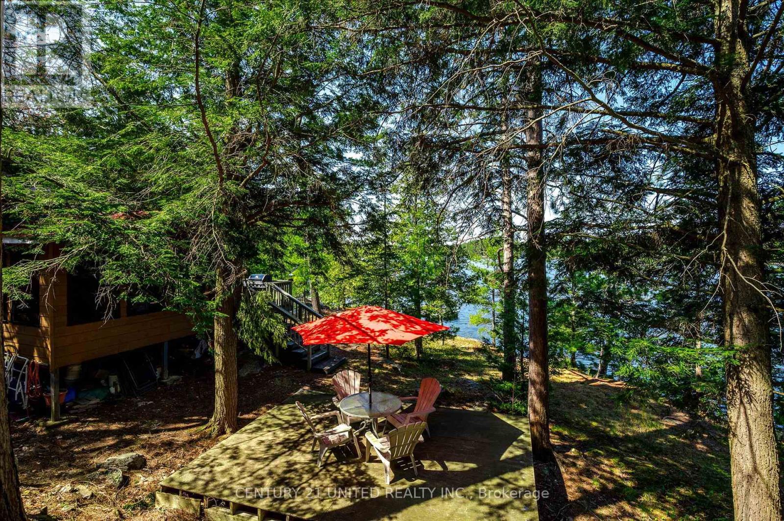 557 Wao Catchacoma Lake, Trent Lakes, Ontario  K0L 1J0 - Photo 45 - X12146684