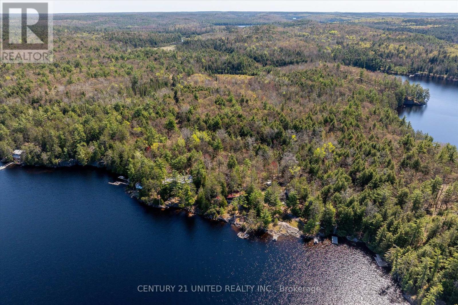 557 Wao Catchacoma Lake, Trent Lakes, Ontario  K0L 1J0 - Photo 5 - X12146684