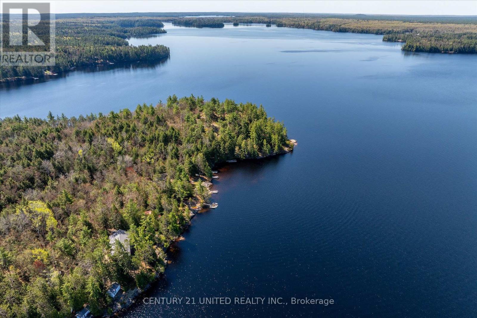 557 Wao Catchacoma Lake, Trent Lakes, Ontario  K0L 1J0 - Photo 6 - X12146684