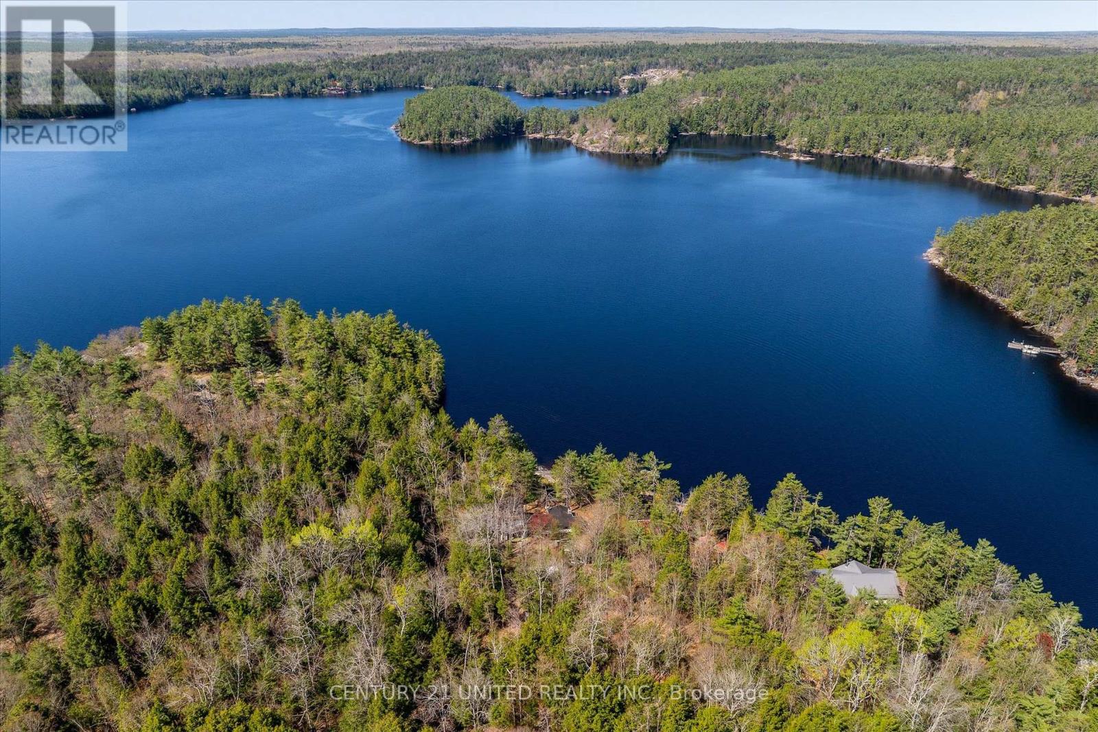 557 Wao Catchacoma Lake, Trent Lakes, Ontario  K0L 1J0 - Photo 7 - X12146684