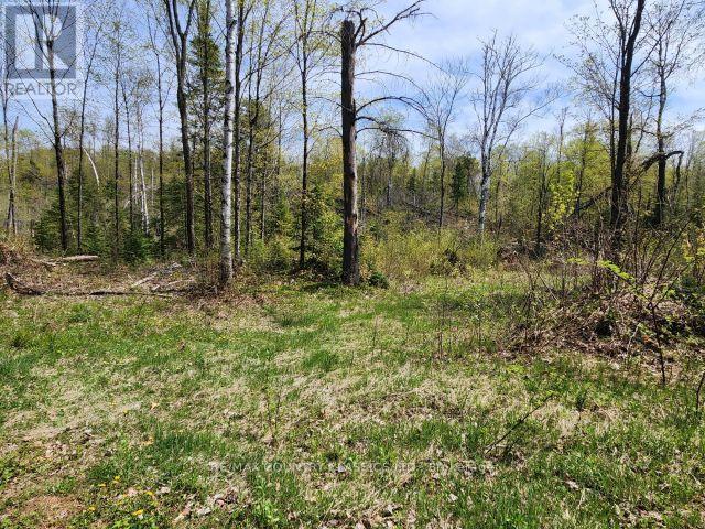 2910 Weslemkoon Lake Road, Tudor & Cashel, Ontario  K0L 1W0 - Photo 12 - X12148524