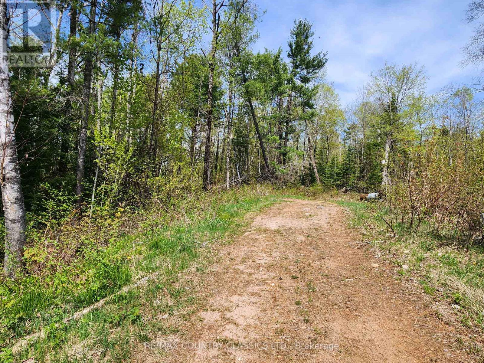 2910 Weslemkoon Lake Road, Tudor & Cashel, Ontario  K0L 1W0 - Photo 16 - X12148524