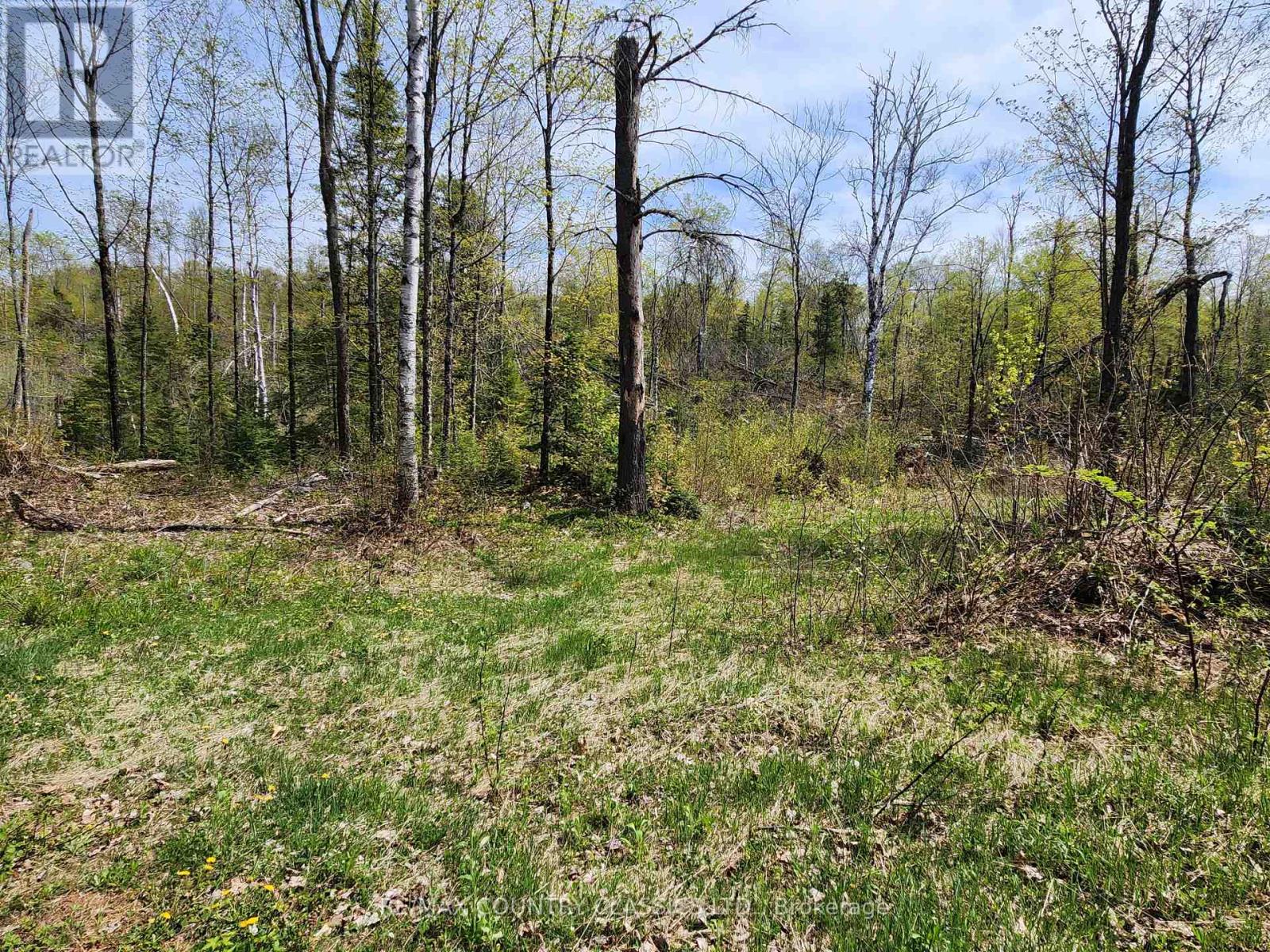 2910 Weslemkoon Lake Road, Tudor & Cashel, Ontario  K0L 1W0 - Photo 17 - X12148524