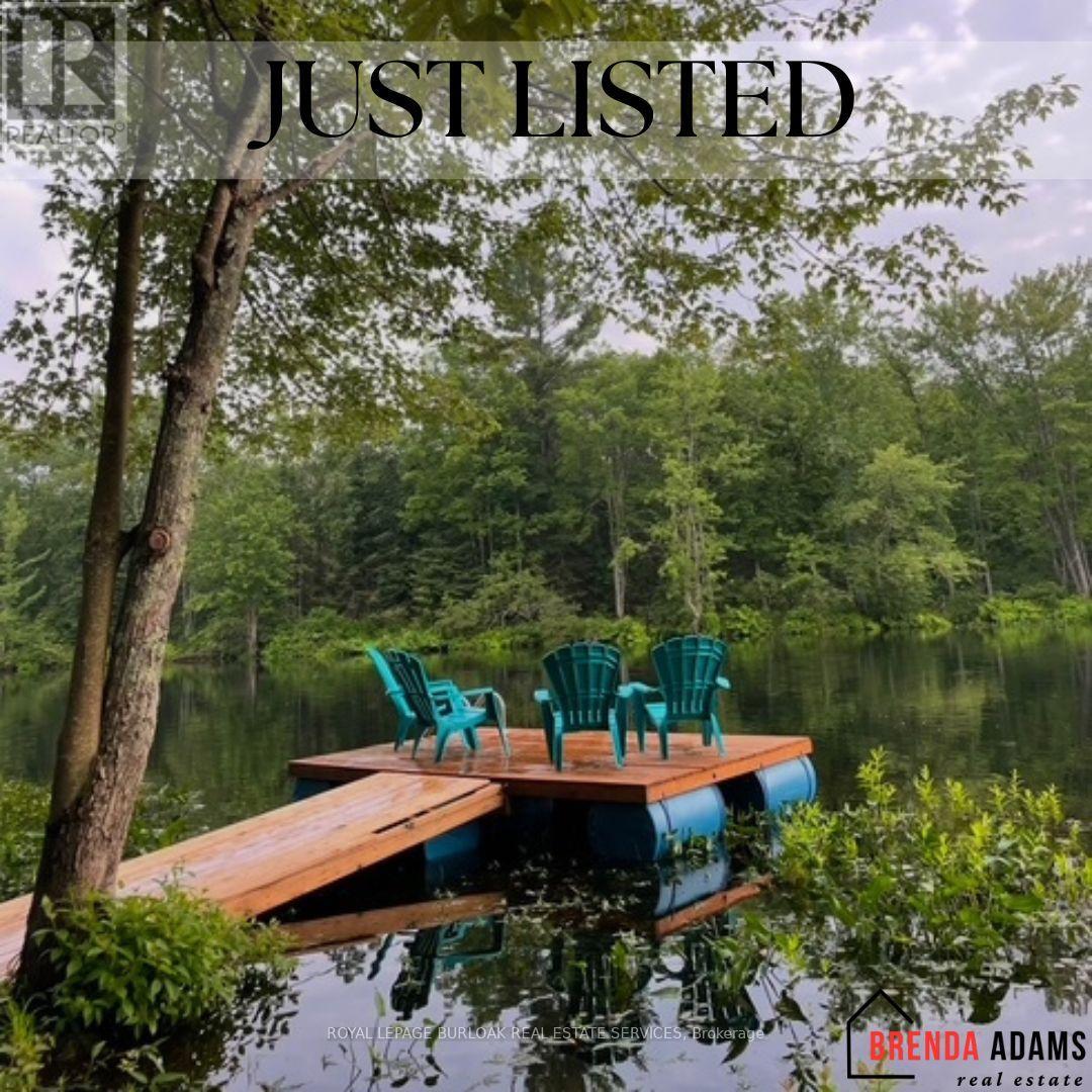 629 Bowen Road, Havelock-Belmont-Methuen (Belmont-Methuen), Ontario  K0L 1Z0 - Photo 1 - X12148465