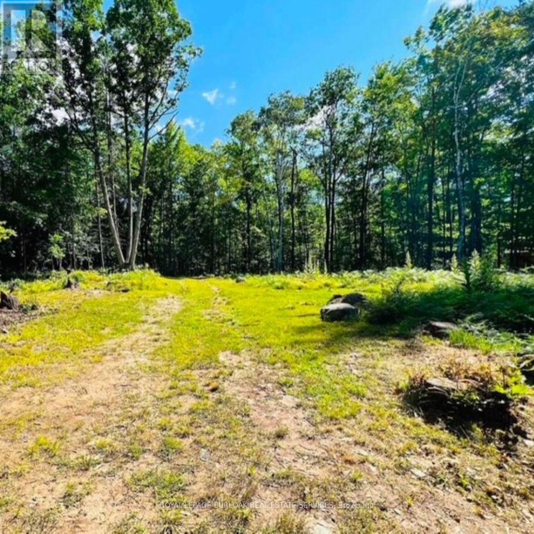 629 Bowen Road, Havelock-Belmont-Methuen (Belmont-Methuen), Ontario  K0L 1Z0 - Photo 10 - X12148465