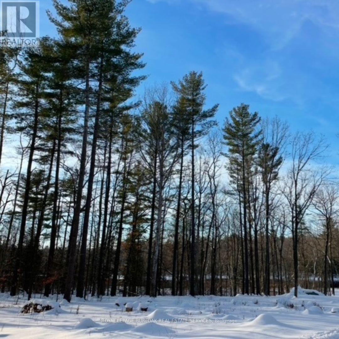 629 Bowen Road, Havelock-Belmont-Methuen (Belmont-Methuen), Ontario  K0L 1Z0 - Photo 7 - X12148465