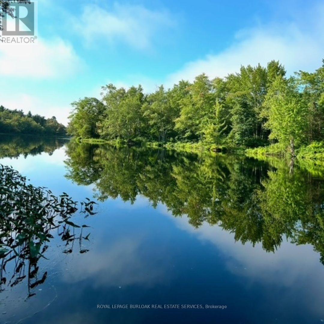 629 Bowen Road, Havelock-Belmont-Methuen (Belmont-Methuen), Ontario  K0L 1Z0 - Photo 8 - X12148465