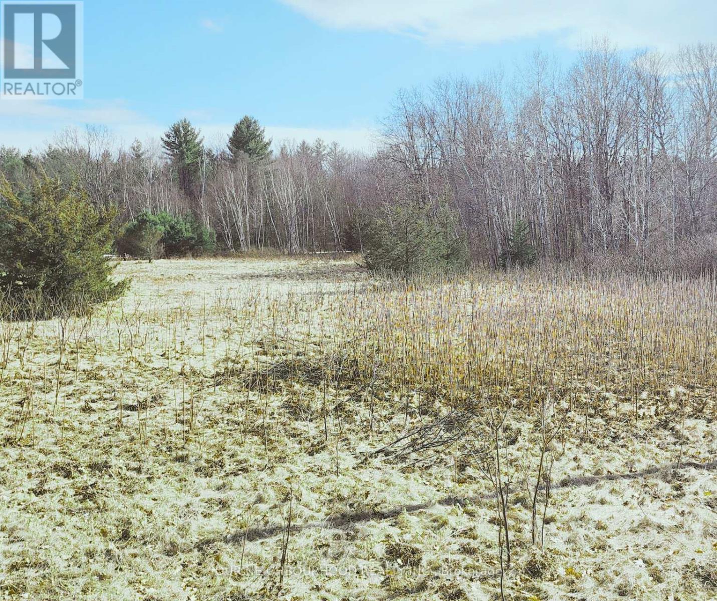 Lot 14 Trent River Road E, Trent Hills (Campbellford), Ontario  K0L 1Z0 - Photo 1 - X12149522
