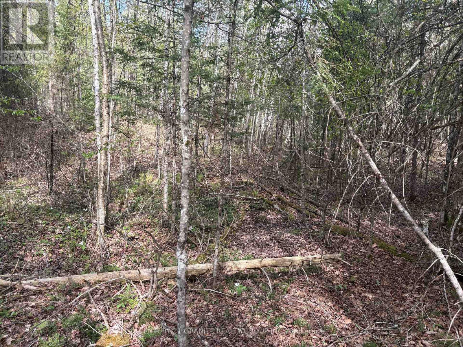 0 Felbers Road, Tudor & Cashel, Ontario  K0L 1C0 - Photo 5 - X12151198