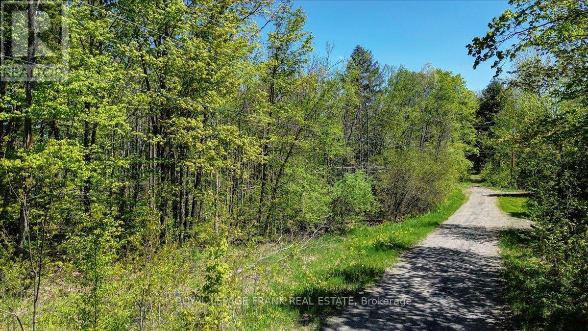 0 Red Oak Trail, Marmora And Lake (Lake Ward), Ontario  K0L 1W0 - Photo 16 - X12151864