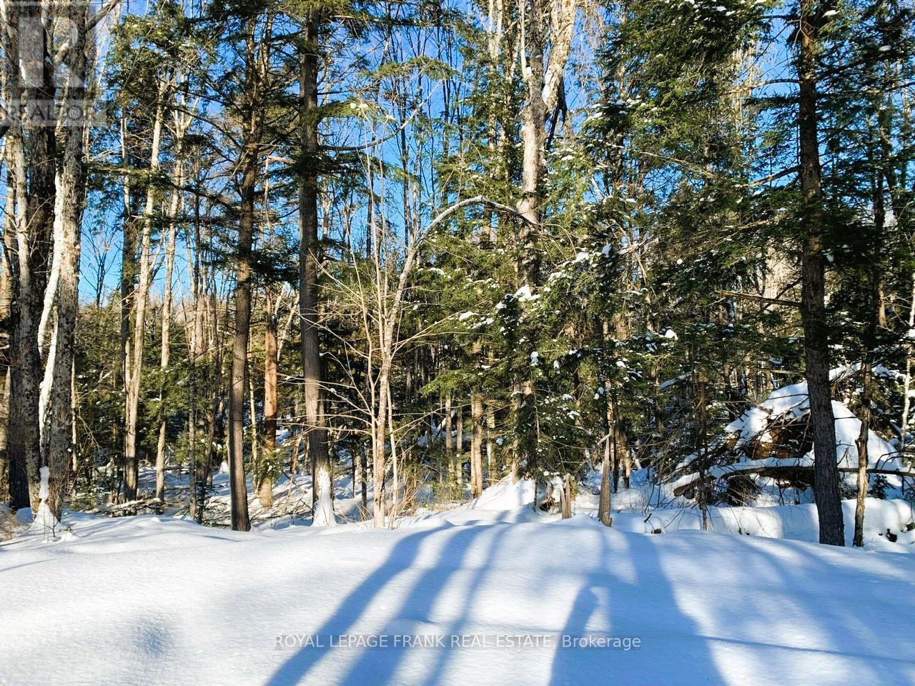 0 Red Oak Trail, Marmora And Lake (Lake Ward), Ontario  K0L 1W0 - Photo 20 - X12151864