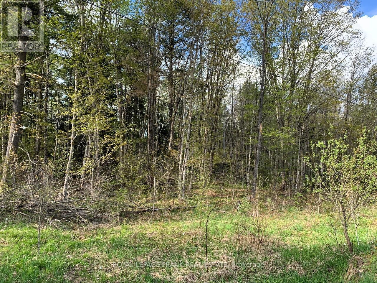 0 Red Oak Trail, Marmora And Lake (Lake Ward), Ontario  K0L 1W0 - Photo 6 - X12151864