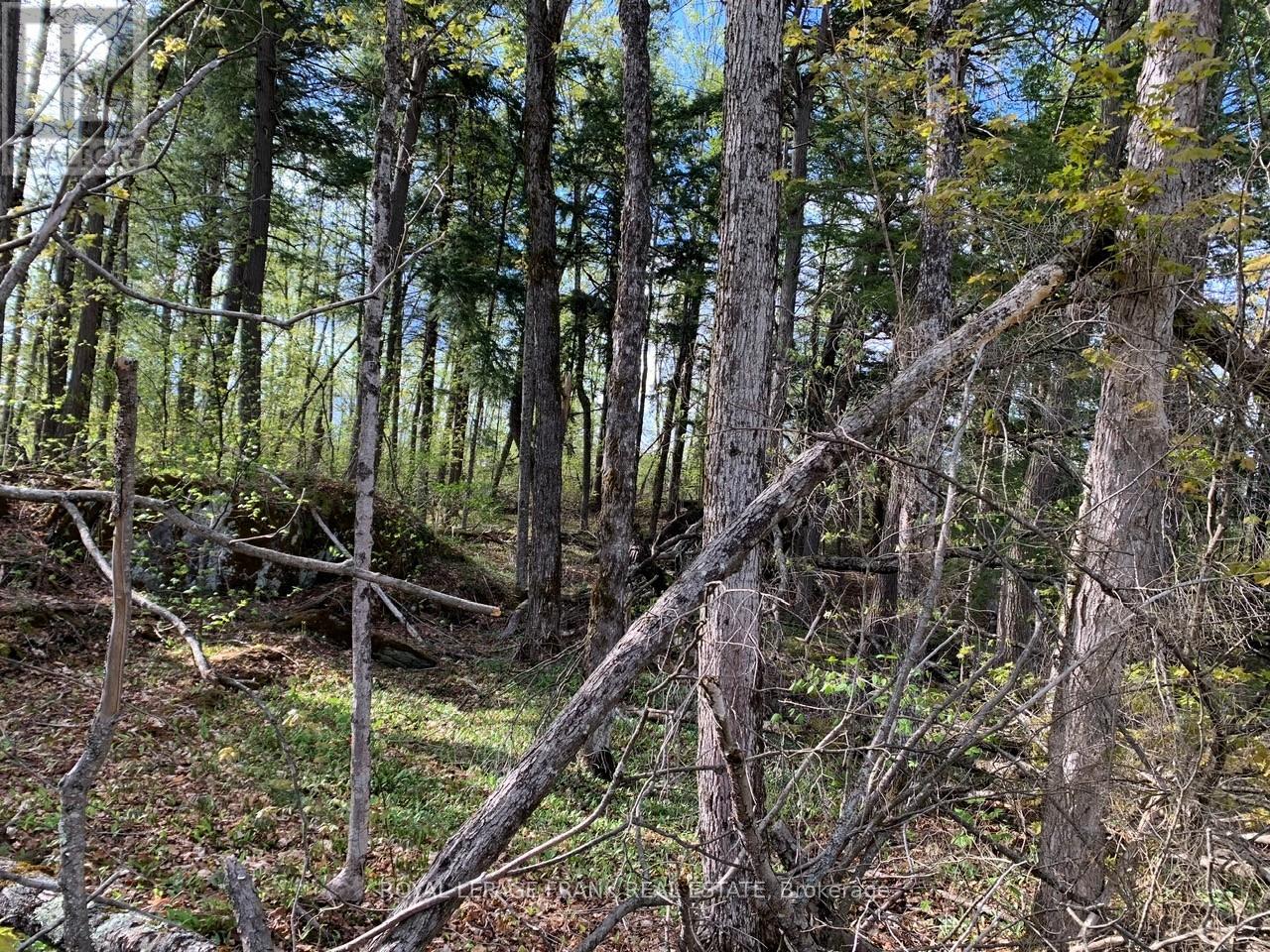 0 Red Oak Trail, Marmora And Lake (Lake Ward), Ontario  K0L 1W0 - Photo 7 - X12151864