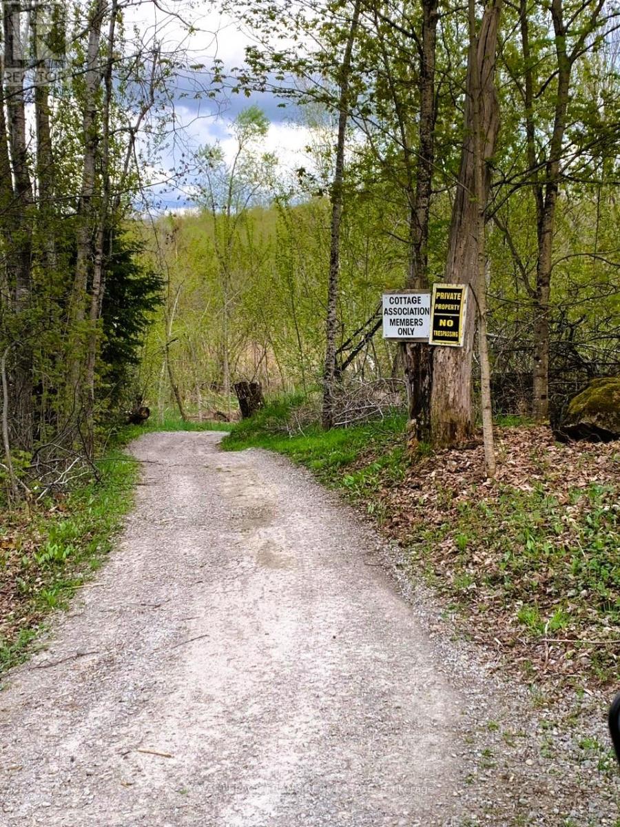 0 Red Oak Trail, Marmora And Lake (Lake Ward), Ontario  K0L 1W0 - Photo 8 - X12151864