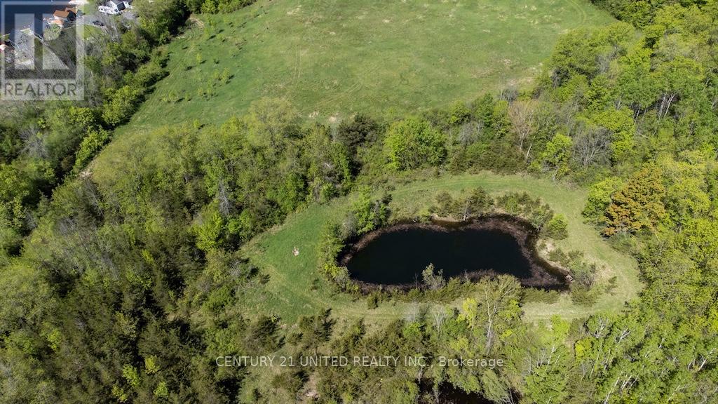00 Hickory Bay Road, Trent Hills, Ontario  K0L 1L0 - Photo 19 - X12153599