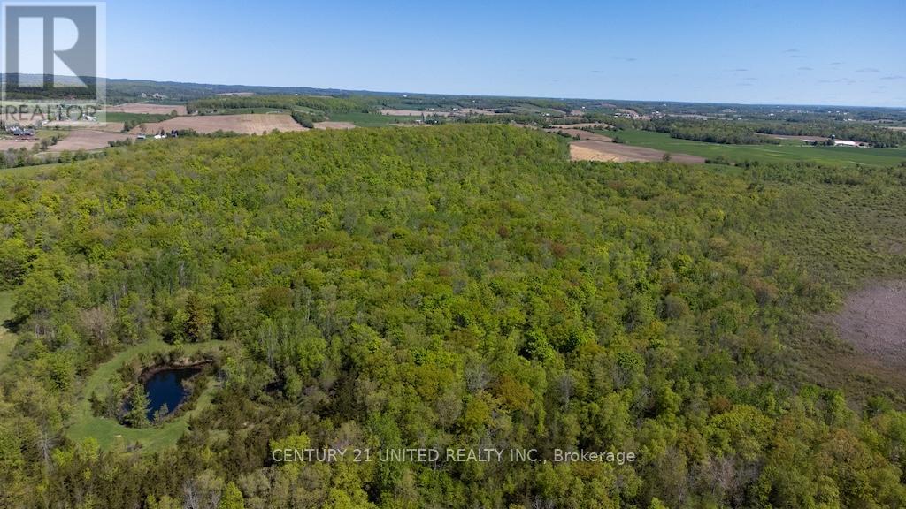 00 Hickory Bay Road, Trent Hills, Ontario  K0L 1L0 - Photo 26 - X12153599