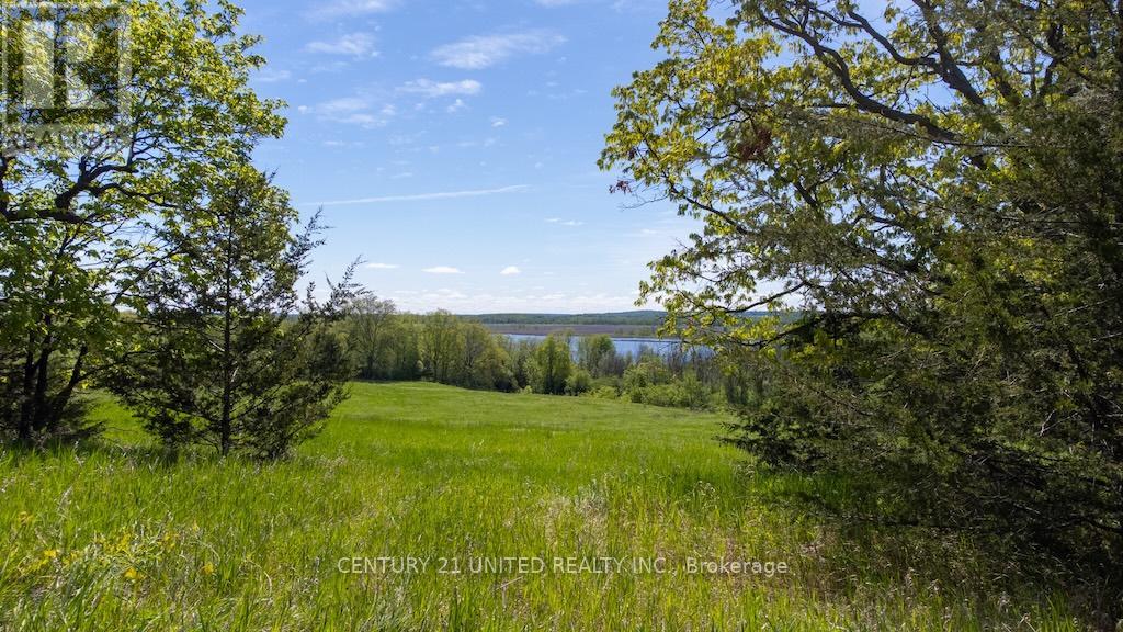 00 Hickory Bay Road, Trent Hills, Ontario  K0L 1L0 - Photo 28 - X12153599