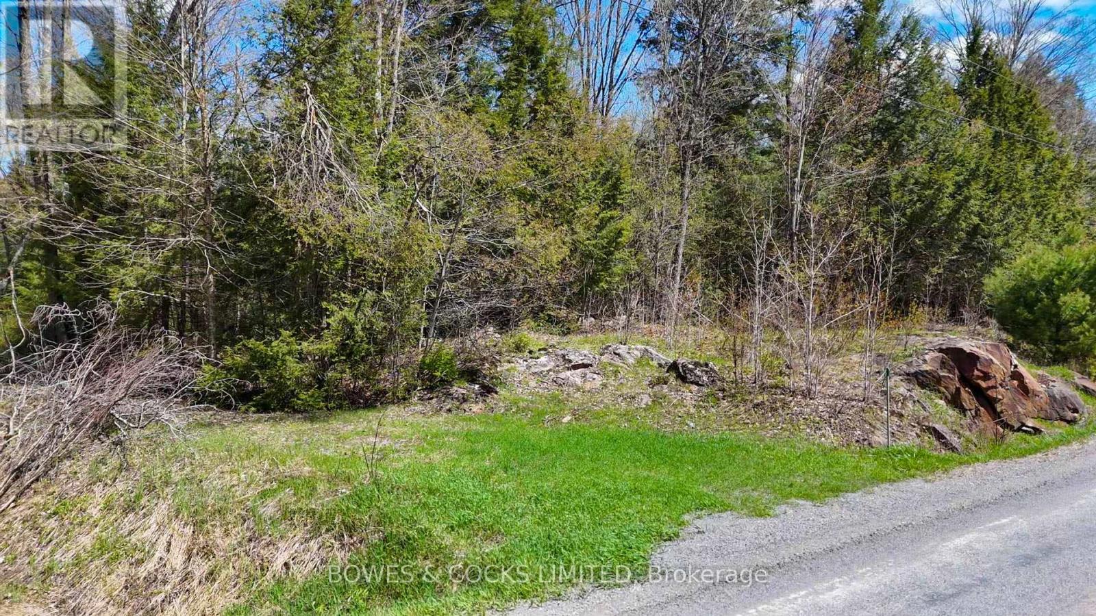 1160 Balmer Road, North Kawartha, Ontario  K0L 1A0 - Photo 3 - X12153763