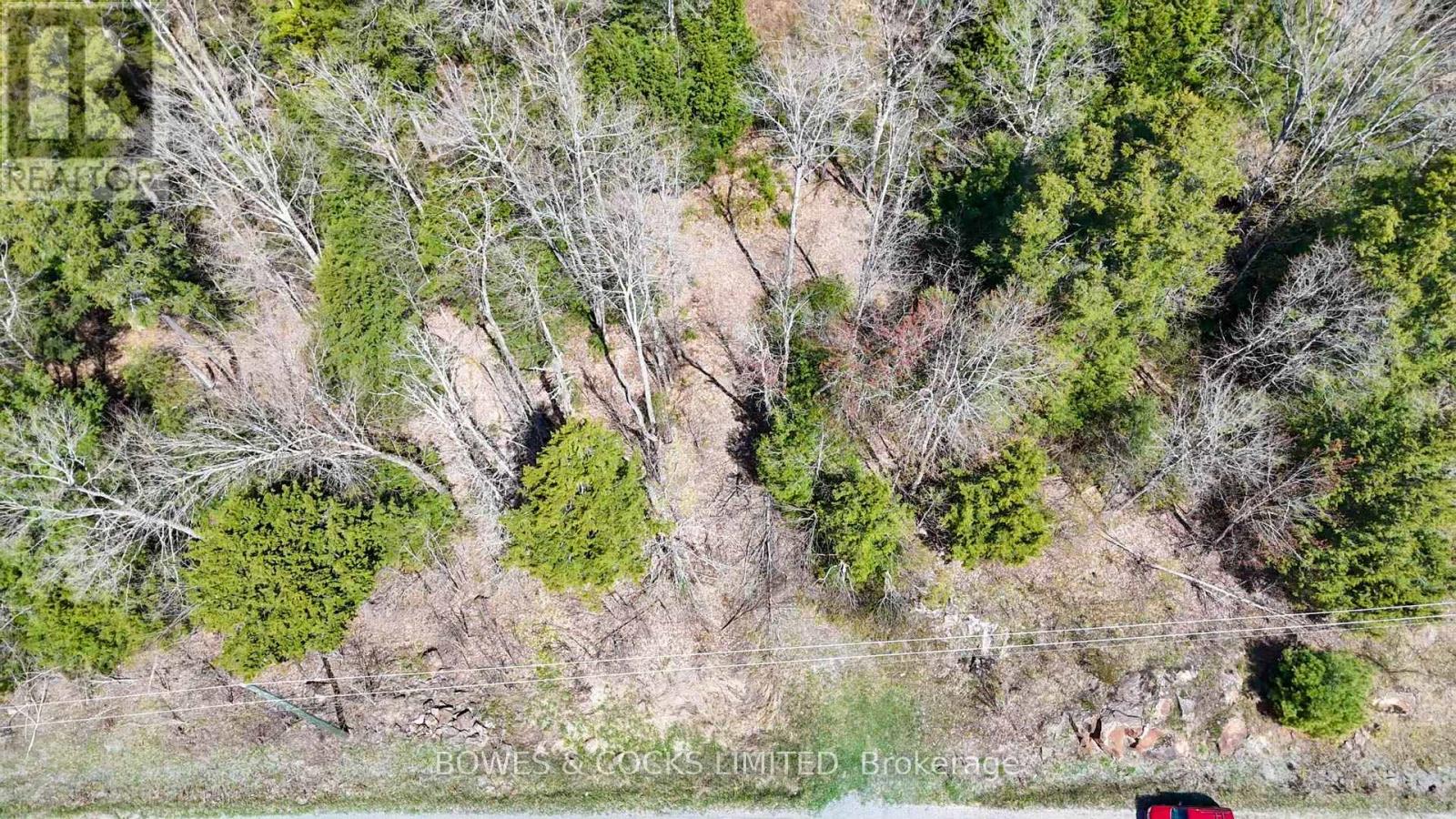 1160 Balmer Road, North Kawartha, Ontario  K0L 1A0 - Photo 6 - X12153763