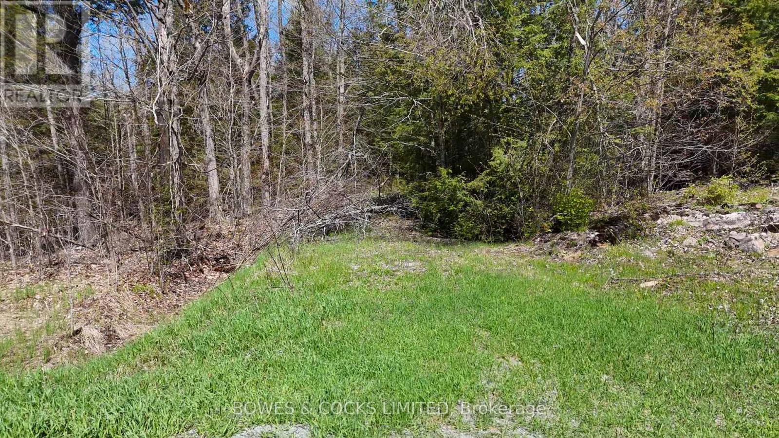 1160 Balmer Road, North Kawartha, Ontario  K0L 1A0 - Photo 7 - X12153763