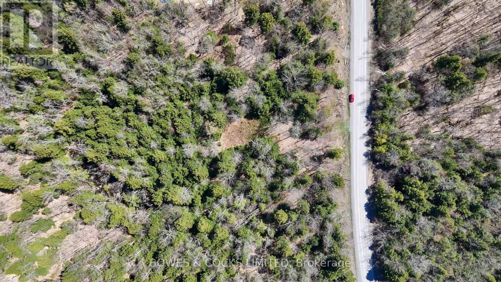 1160 Balmer Road, North Kawartha, Ontario  K0L 1A0 - Photo 8 - X12153763