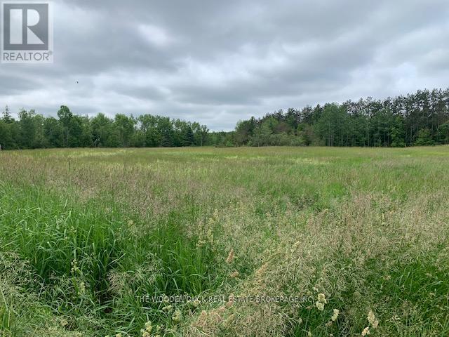 172 Dewey Road, Havelock-Belmont-Methuen (Belmont-Methuen), Ontario  K0L 1Z0 - Photo 18 - X12153807