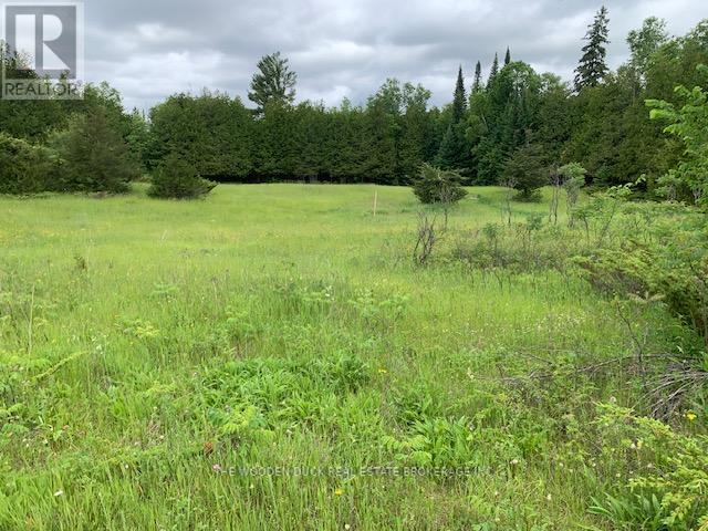 172 Dewey Road, Havelock-Belmont-Methuen (Belmont-Methuen), Ontario  K0L 1Z0 - Photo 20 - X12153807