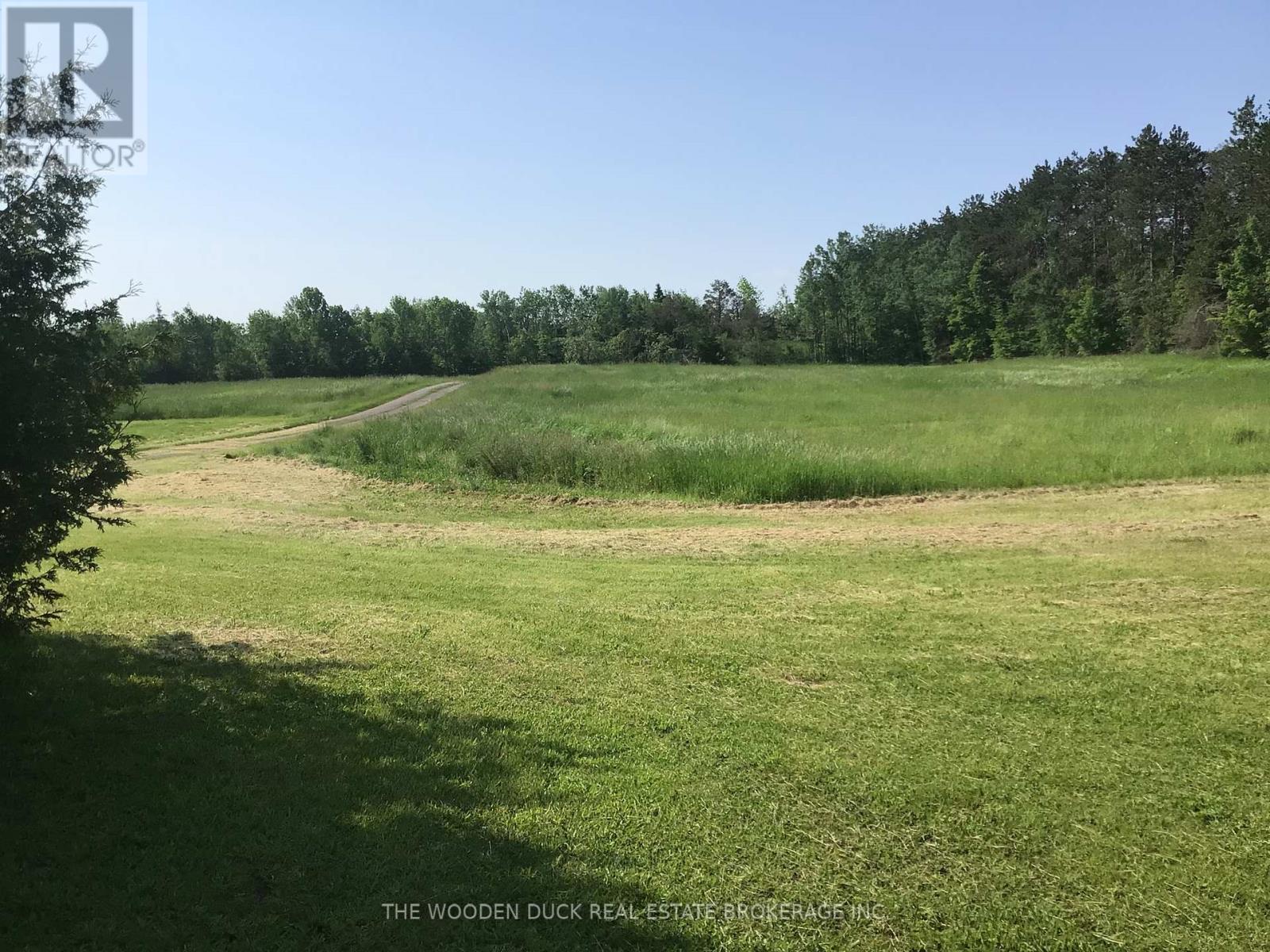 172 Dewey Road, Havelock-Belmont-Methuen (Belmont-Methuen), Ontario  K0L 1Z0 - Photo 4 - X12153807