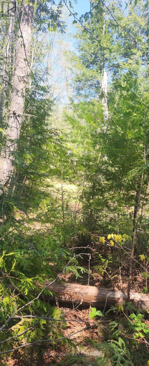 00 Fire Route 67, Havelock-Belmont-Methuen, Ontario  K0L 1Z0 - Photo 2 - X12154058