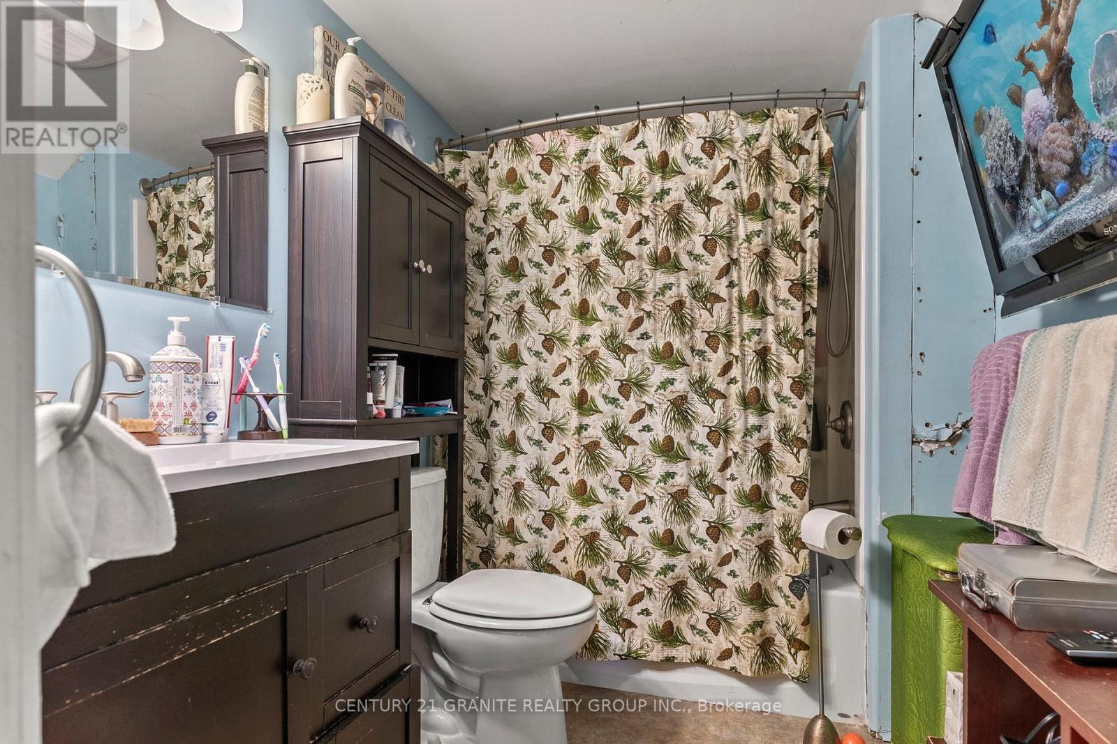 185 Hastings Street N, Bancroft (Bancroft Ward), Ontario  K0L 1C0 - Photo 22 - X12154123