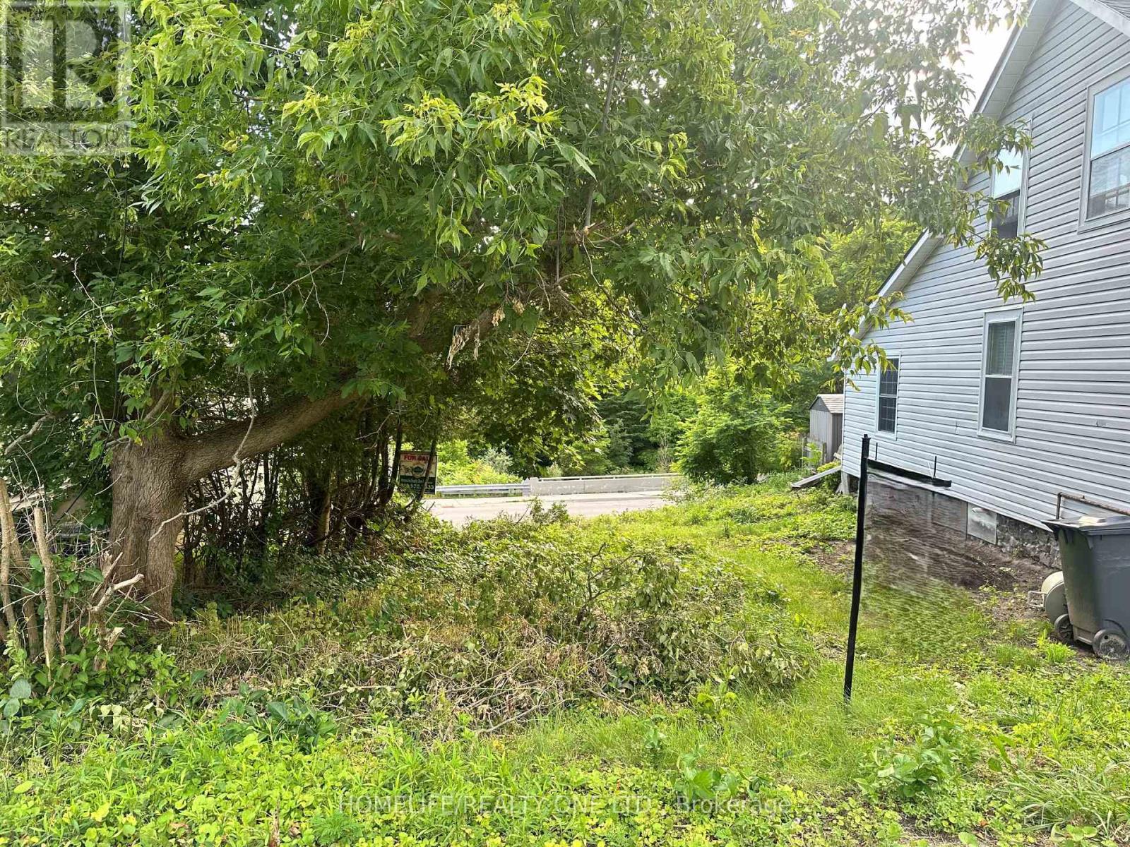 16 Mill Street, Clarington (Orono), Ontario  L0A 1E0 - Photo 3 - E12154911