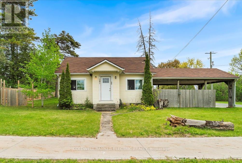 205 Wallace Street, Trent Hills (Campbellford), Ontario  K0L 1L0 - Photo 3 - X12154988
