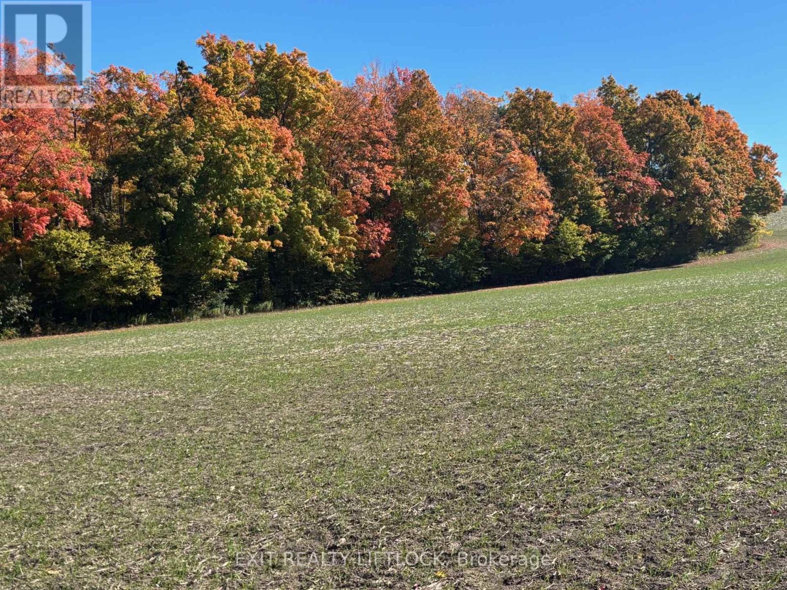 404 Morton Line, Cavan Monaghan (Cavan Twp), Ontario  L0A 1C0 - Photo 28 - X12155185