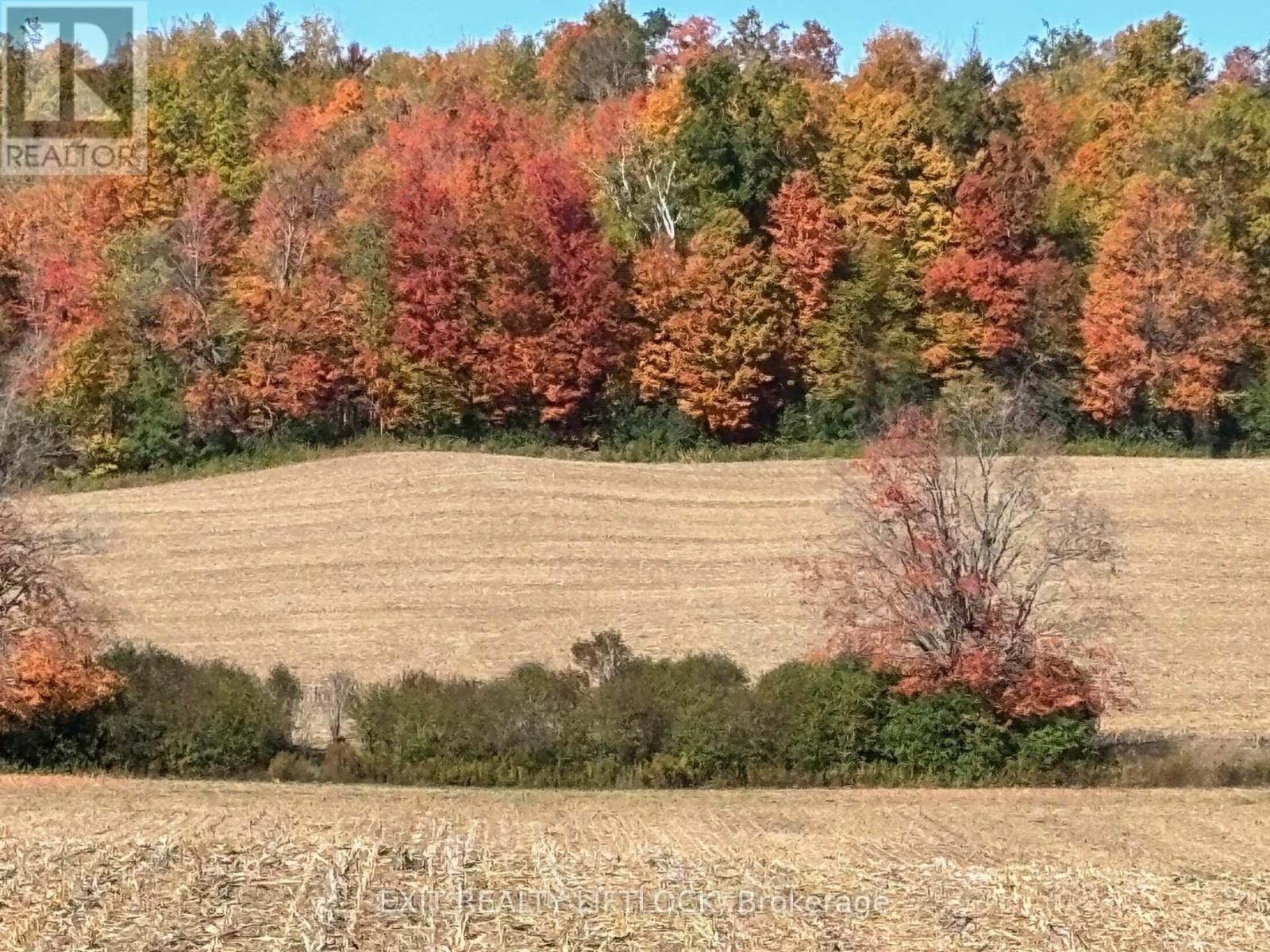 404 Morton Line, Cavan Monaghan (Cavan Twp), Ontario  L0A 1C0 - Photo 30 - X12155185