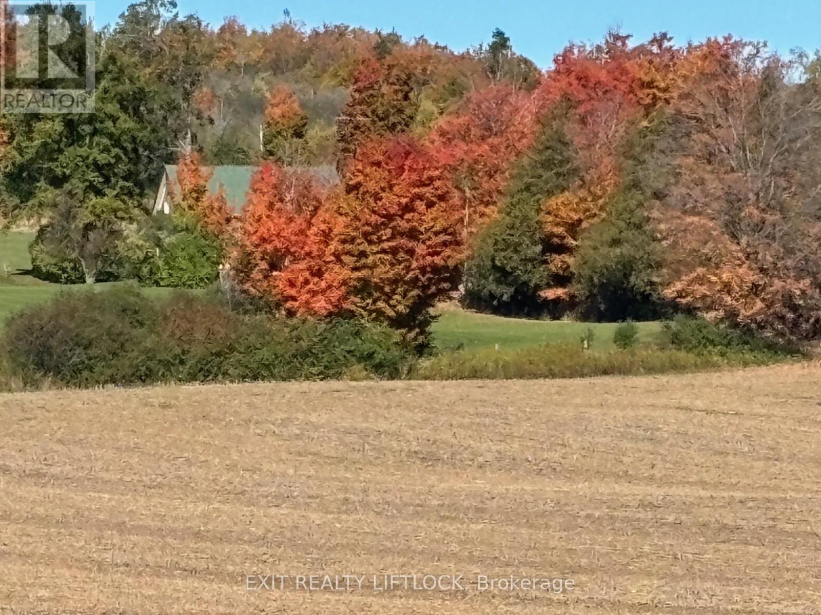 404 Morton Line, Cavan Monaghan (Cavan Twp), Ontario  L0A 1C0 - Photo 32 - X12155185