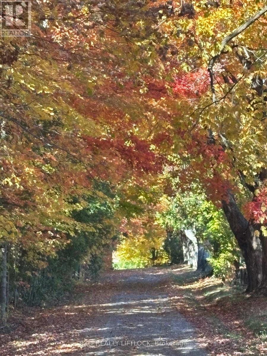 404 Morton Line, Cavan Monaghan (Cavan Twp), Ontario  L0A 1C0 - Photo 33 - X12155185