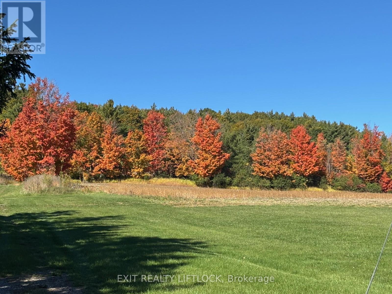 404 Morton Line, Cavan Monaghan (Cavan Twp), Ontario  L0A 1C0 - Photo 35 - X12155185