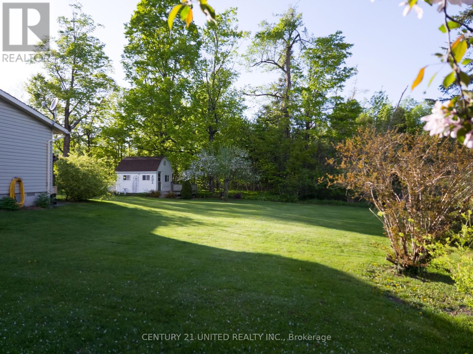 1920 County Rd 6 Road, Douro-Dummer, Ontario  K0L 2H0 - Photo 11 - X12155247