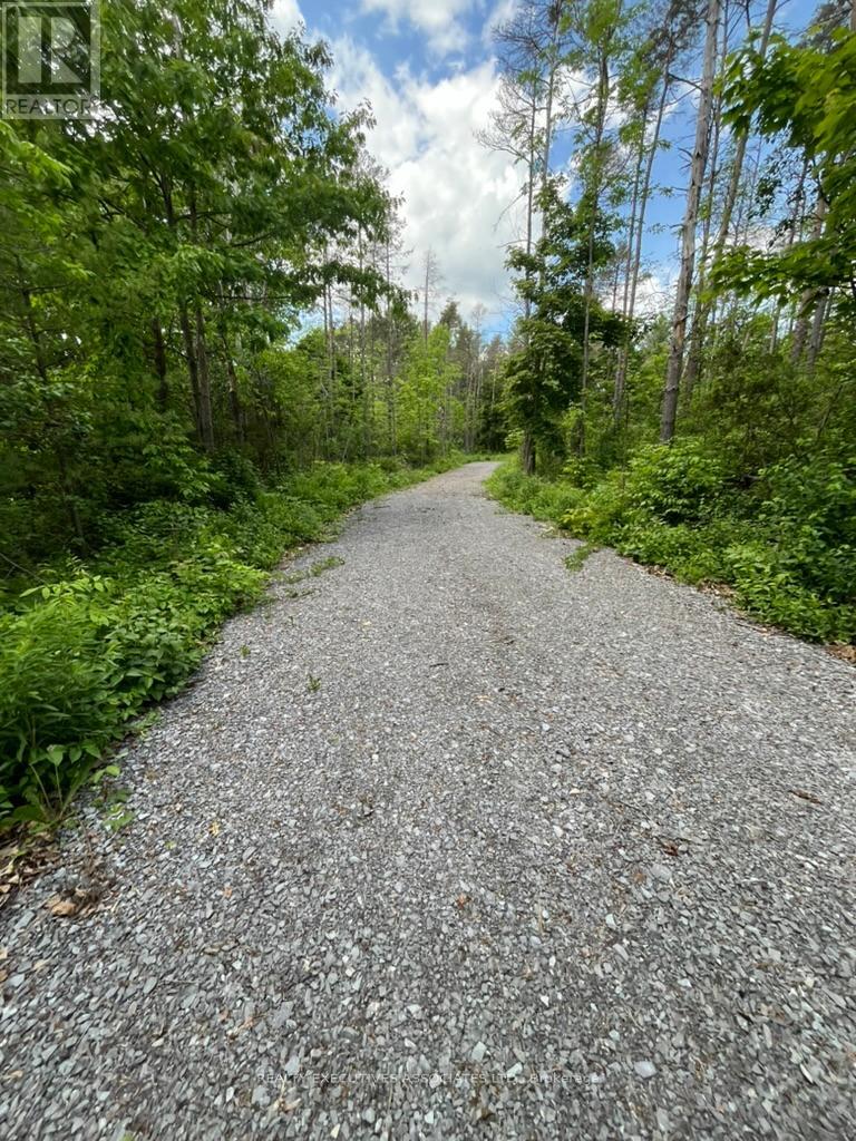 6192 County Rd 50 Road, Trent Hills (Campbellford), Ontario  K0L 1L0 - Photo 2 - X12155578