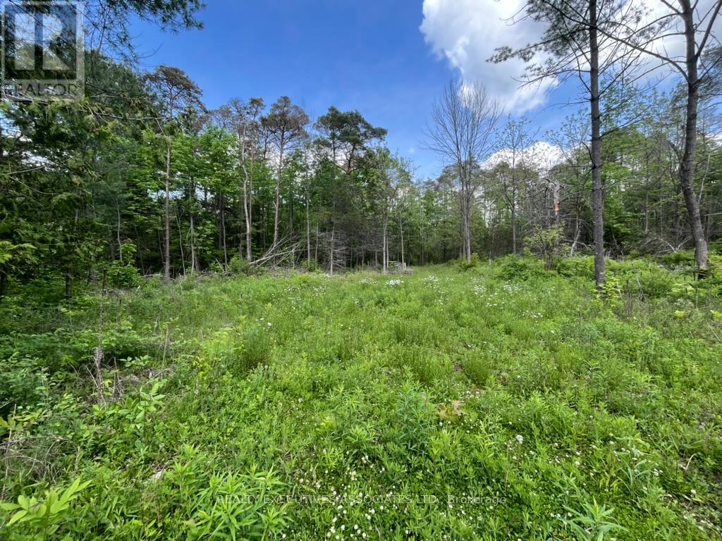6192 County Rd 50 Road, Trent Hills (Campbellford), Ontario  K0L 1L0 - Photo 3 - X12155578