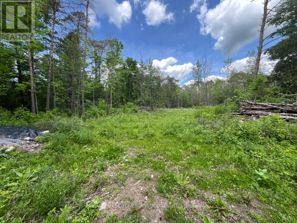 6192 County Rd 50 Road, Trent Hills (Campbellford), Ontario  K0L 1L0 - Photo 4 - X12155578