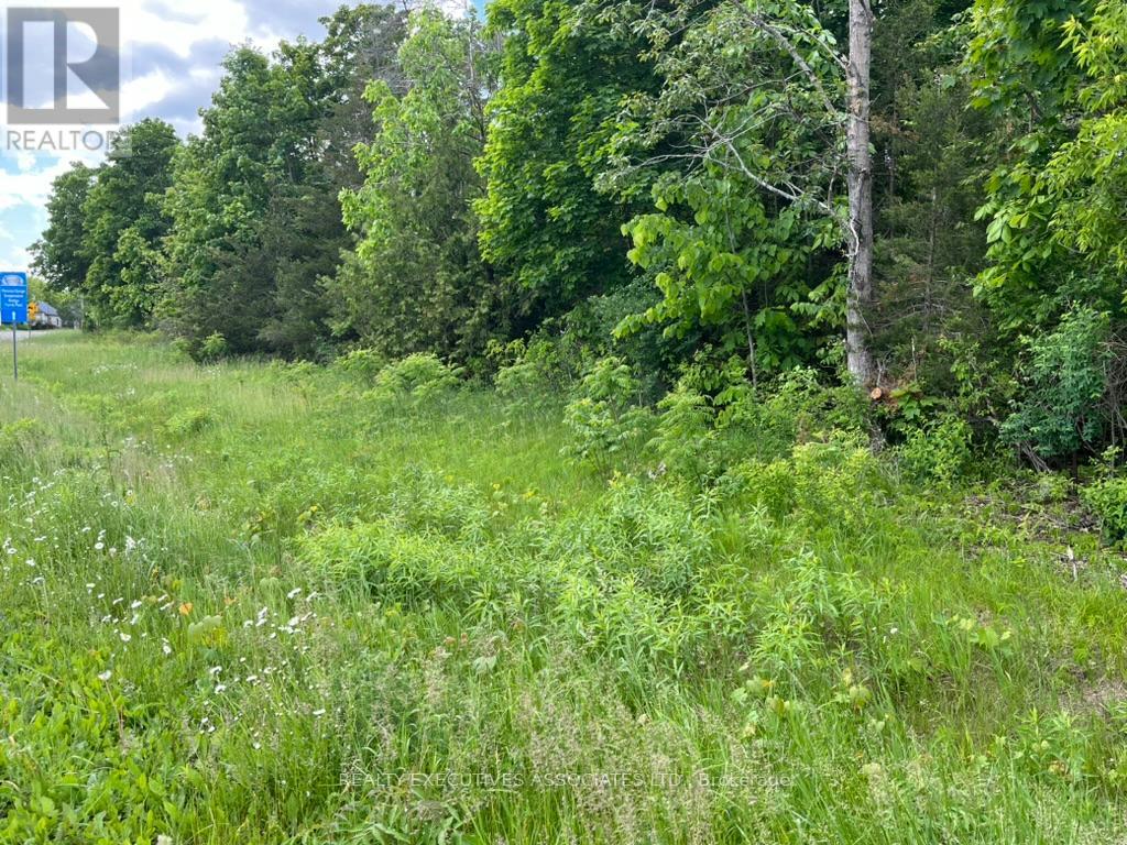 6192 County Rd 50 Road, Trent Hills (Campbellford), Ontario  K0L 1L0 - Photo 5 - X12155578