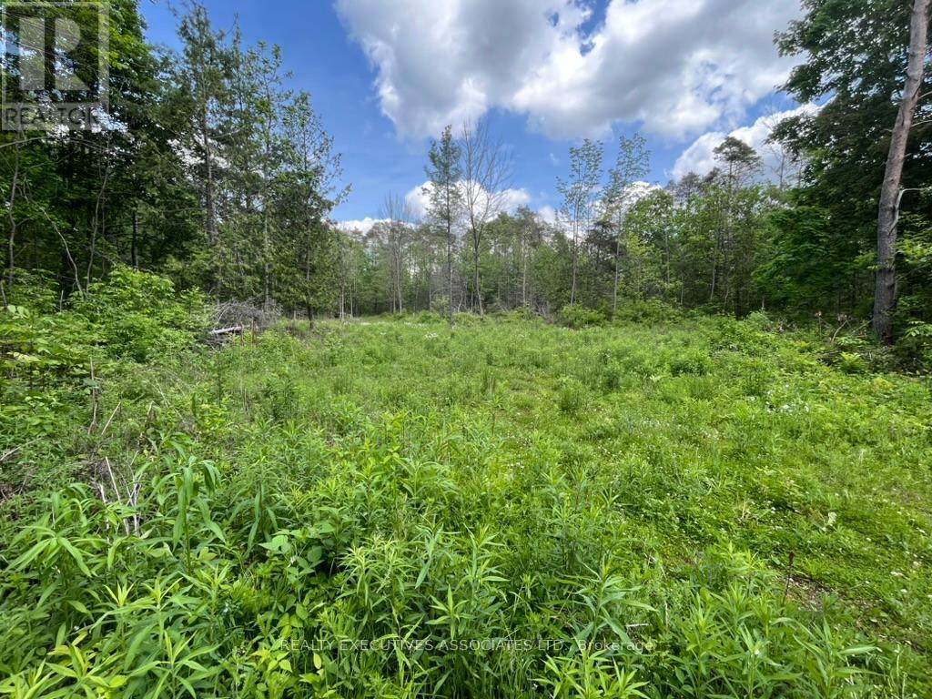 6192 County Rd 50 Road, Trent Hills (Campbellford), Ontario  K0L 1L0 - Photo 6 - X12155578